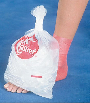 Cramer Heavy Duty Ice Bags and Dispenser