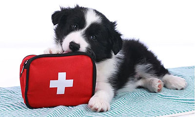 What Do You Need in Your First Aid Kit? (& Why)